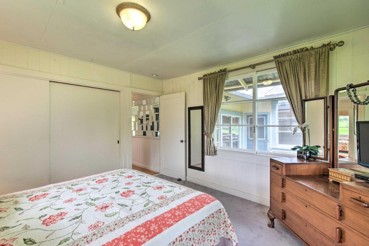 Hilo Home Base - 3 Miles To State Park And Beach! Exteriér fotografie