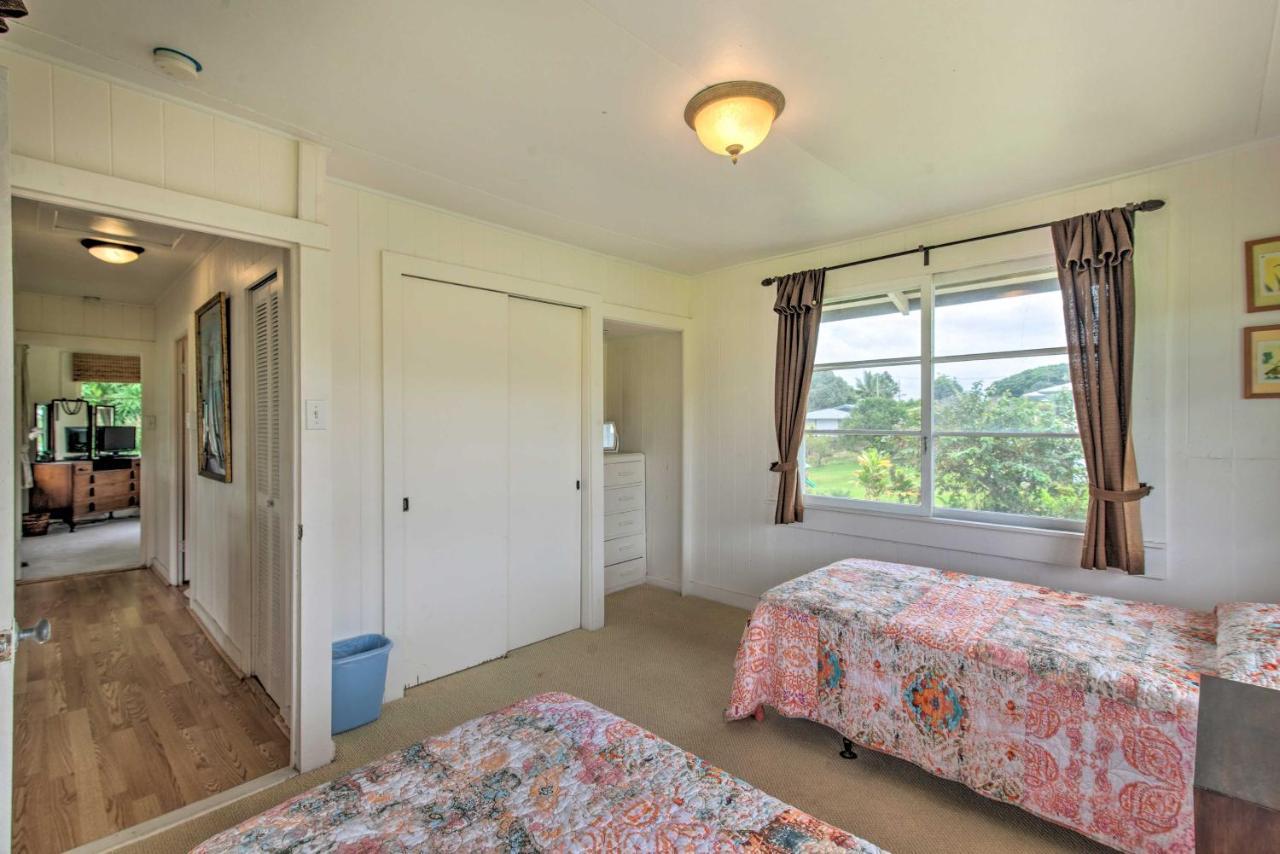 Hilo Home Base - 3 Miles To State Park And Beach! Exteriér fotografie